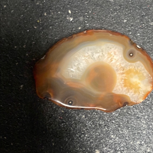 Agate Slice Belt Buckle Brown and Cream